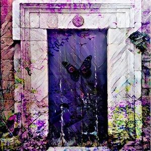 “Viola” photo digital image printed on archival photographic paper.